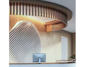 Functional Light